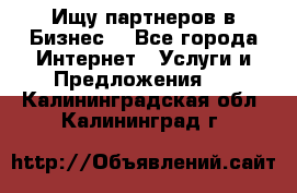 Ищу партнеров в Бизнес  - Все города Интернет » Услуги и Предложения   . Калининградская обл.,Калининград г.